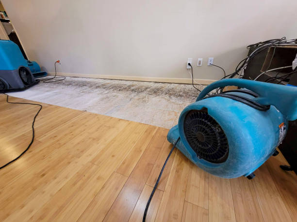 Professional Ceiling Water Damage Repair technician working in Aberdeen, WA